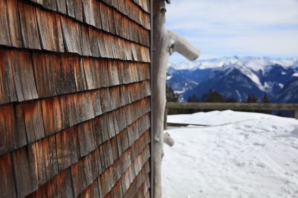 Cedar Siding Repair in Oroville