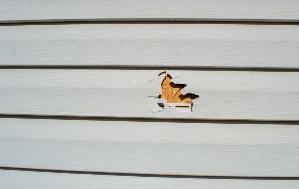 Siding Hole Patching in Oroville