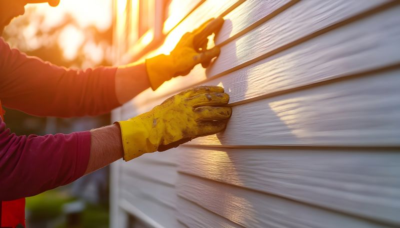 Professional Siding Restoration